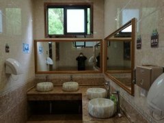 卫生间放绿萝会影响风水吗?