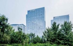 公司选择适合的盆栽风水禁忌