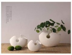 家中养狗风水知识