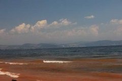 渝北区好点的风水调理老师哪个最厉害