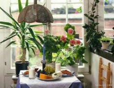 风水物有哪些呢？