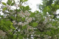 大渡口区找算命大师算家居风水收费行情