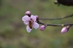 南岸区哪个阳宅风水大师看门面风水更出名