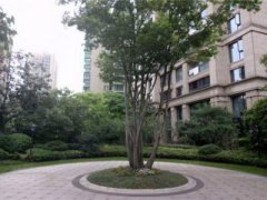 农村室外楼梯风水禁忌有哪些？