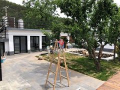 教你几招财运风水术