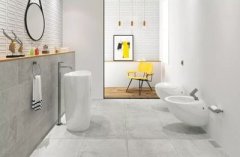 厕所门口摆什么植物好?