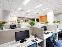 绿萝办公桌上怎么摆放风水