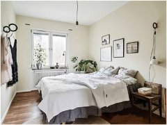 家中放什么花好风水好?