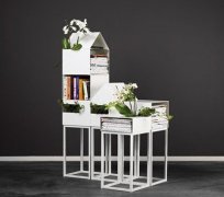 书房放哪些植物风水好?