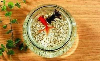 如何改善家中風水{陈帝武}