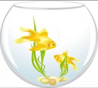 家中鱼缸千万别乱摆，最能催财的鱼缸摆放位置大揭秘