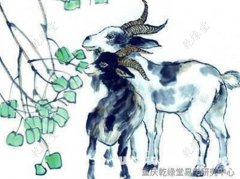 乾缘堂知名风水大师穆六垚谈2020年生肖健康运