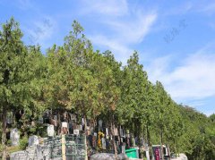 重庆风水大师谈怎么看墓地风水好坏