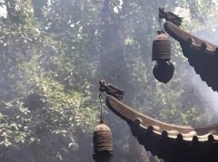 乾缘堂风水大师陆叁荷·淼淼谈2020年会跟前任和好的生肖