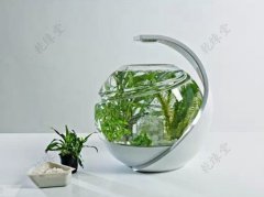 如何强化情侣的爱情运势