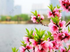 运用好室内风水，摆脱单身生活